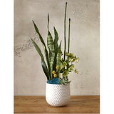 Ginny Bubble Textured Ceramic Pot Large