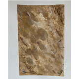 Yaha Hand-Painted Art - 11x15 002