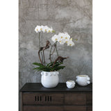 Fem Rosa Ceramic Detailed Pot Large